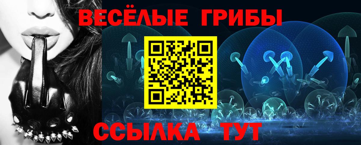 Санкт-Петербург  Псилоцибиновые грибы Psilocybe  Галлюциногенные грибы GOLDEN TEACHER  купить закладку  Вход с VPN 